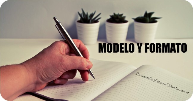modelo derecho de petición formato word colombia 2022